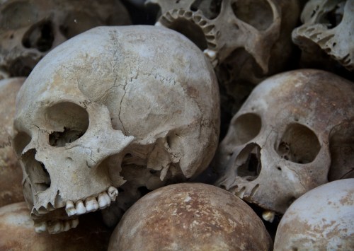 I'm not actually sure how you're supposed to feel when presented with a pile of bones - specifically skulls.