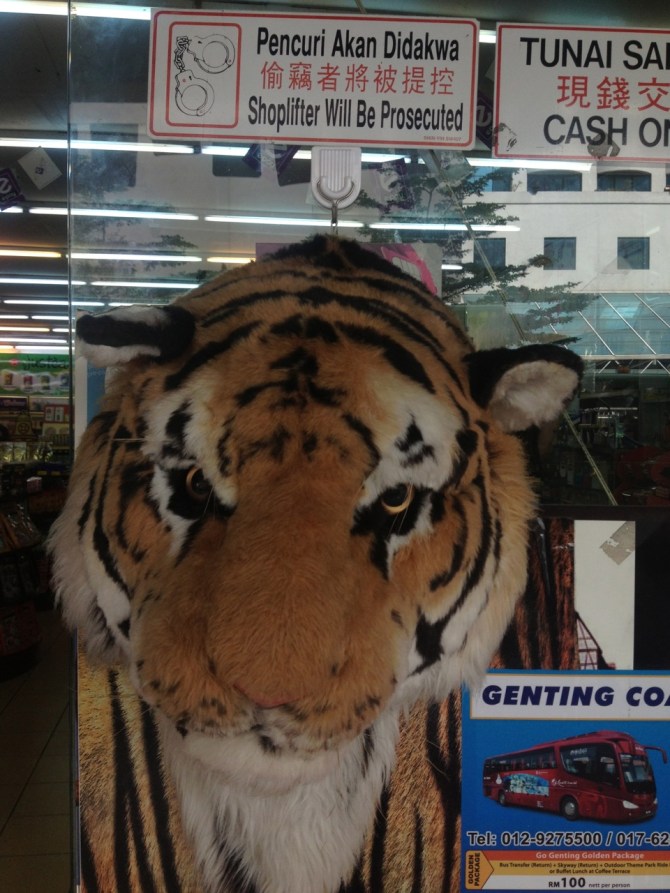 I don't want to ask how they prosecute 